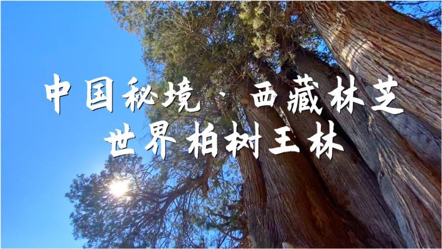 文山支队“3+3”举措深入推进冬季执勤岗位大练兵工作