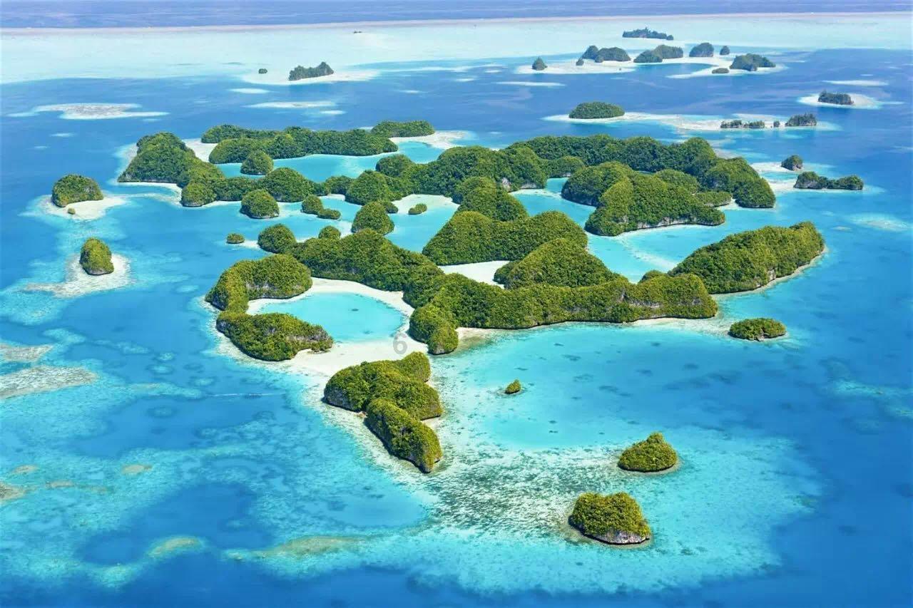 拯救精灵的土地10