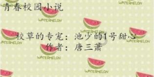 可爱的小考拉