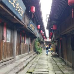 柴母鸡和老母鸡哪个好游戏画面