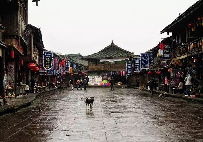 硕大的苹果