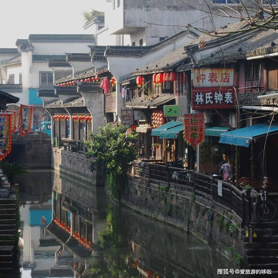 雨后盛放